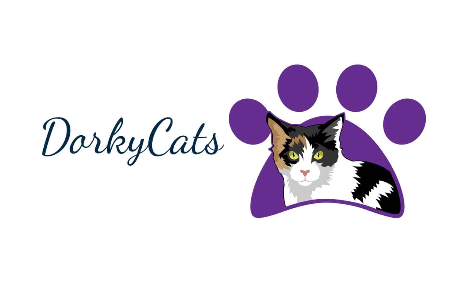 Why Don T Cats Like You Sniffing Them at Michael Willett blog