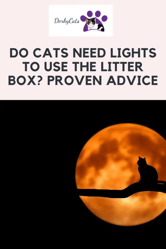 DO CATS NEED LIGHTS TO USE THE LITTER BOX? - pinterest Pin