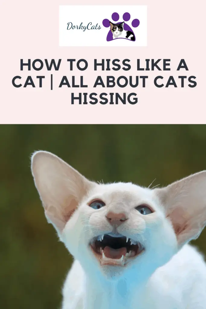 How to hiss like a cat - PInterest Pin