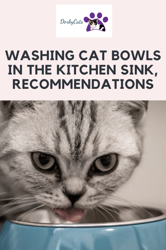 Washing cat bowls in the kitchen sink - Pinterest Pin

