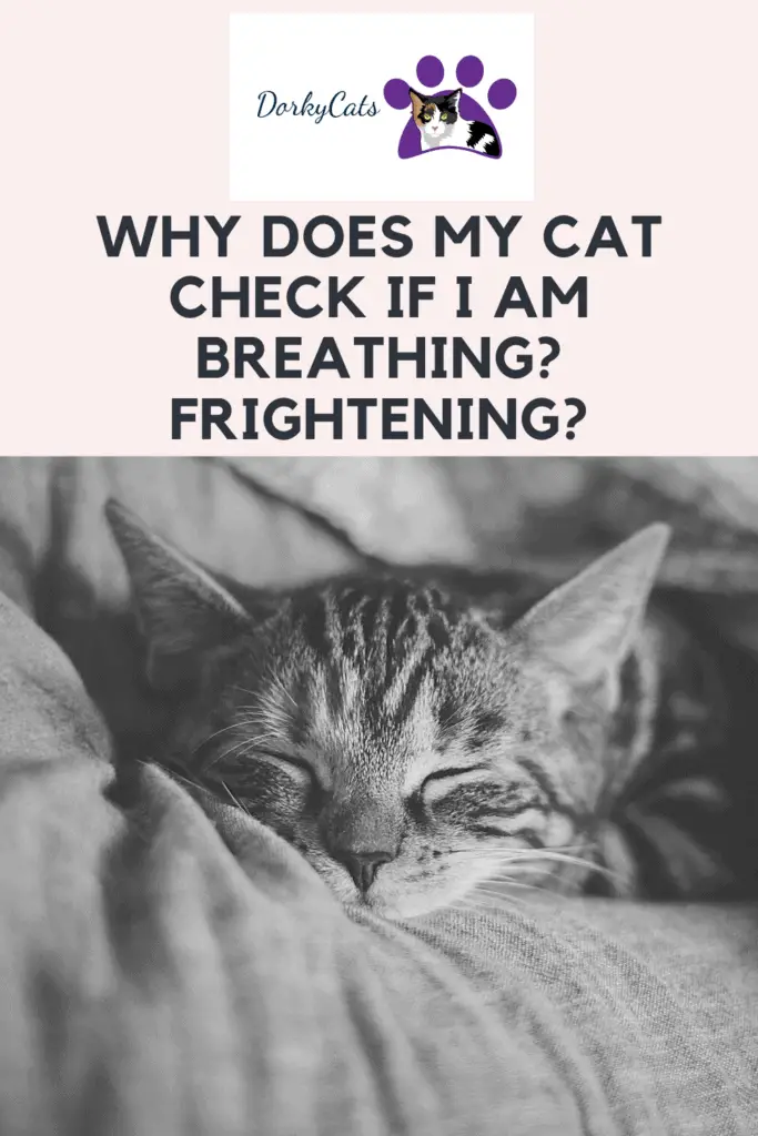 Why does my cat check if I am breathing? - Pinterest Pin