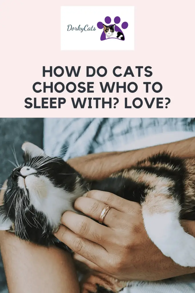 How do cats choose who to sleep with? - Pinterest Pin