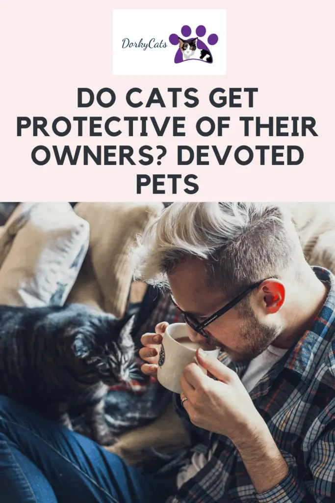 Do cats get protective of their owners - Pinterest PIn