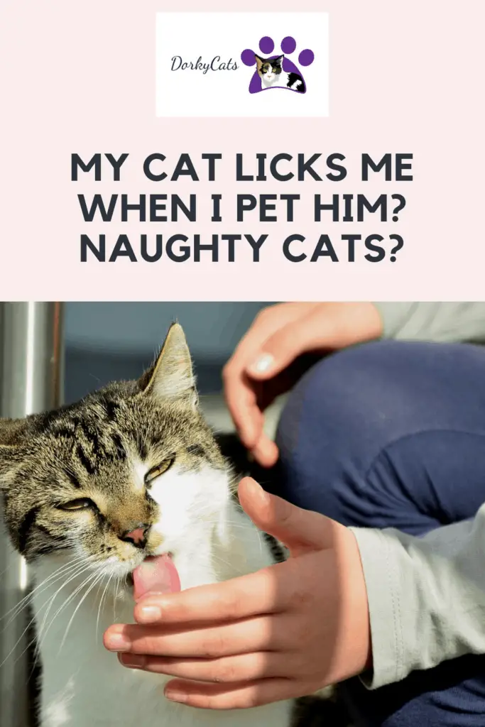 My cat licks me when I pet him - Pinterest Pin