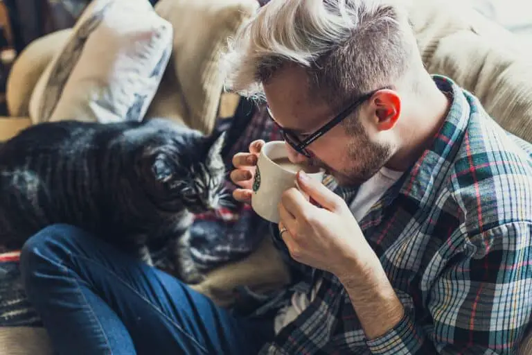 DO CATS GET PROTECTIVE OF THEIR OWNERS? [9+ SIGNS THEY ARE]