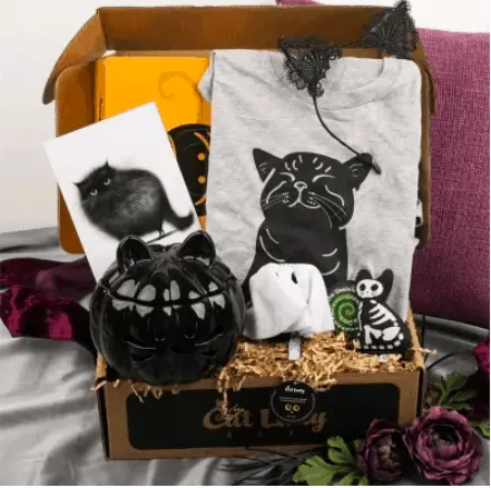 Best cat subscription boxes