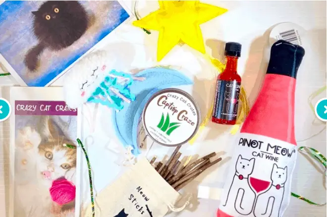 Best cat subscription boxes