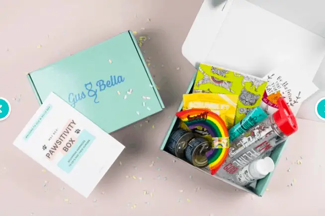 Best cat subscription boxes