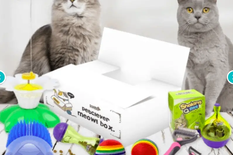 Best cat subscription boxes
