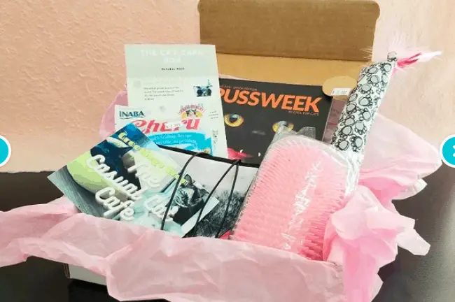 Best cat subscription boxes