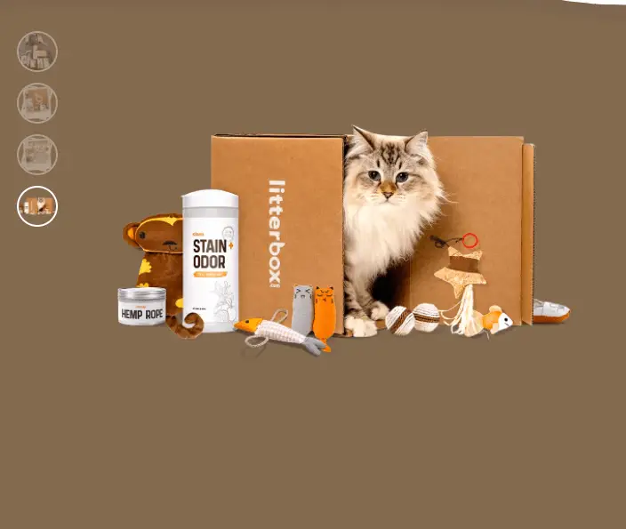 19+ BEST CAT SUBSCRIPTION BOXES HOW TO FIND THE BEST