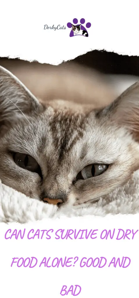 Can cats survive on dry food alone?