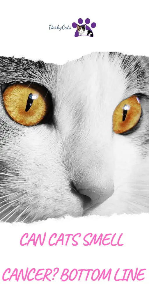 CAN CATS SMELL CANCER? BOTTOM LINE