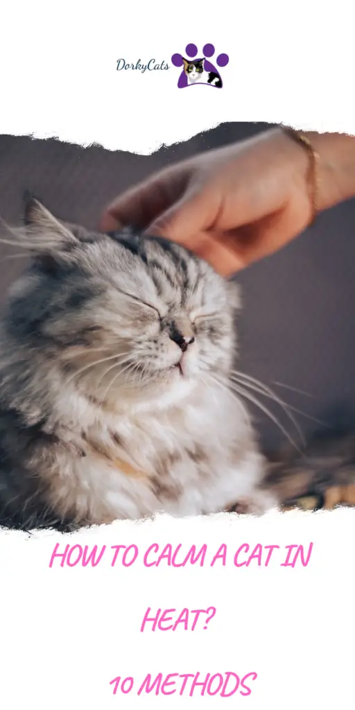 how to calm a cat in heat