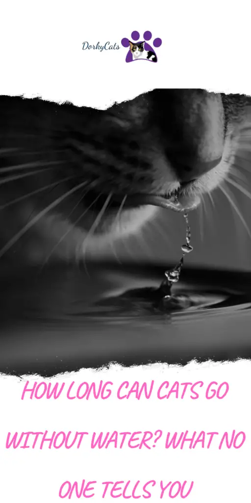 How long can cats go without water?