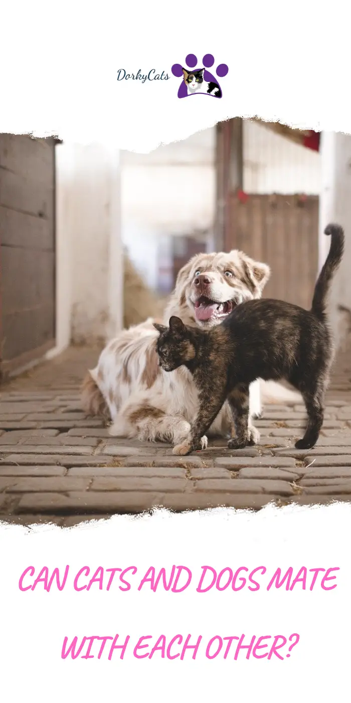 CAN CATS AND DOGS MATE WITH EACH OTHER?