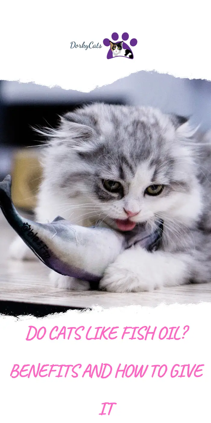 DO CATS LIKE FISH OIL? 10 AMAZING BENEFITS DorkyCats