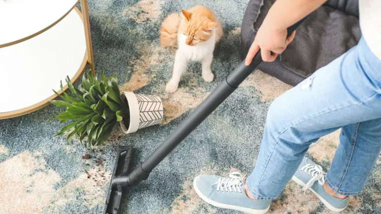 9 BEST WAYS TO CLEAN THE HOUSE WHEN YOU HAVE A PET￼