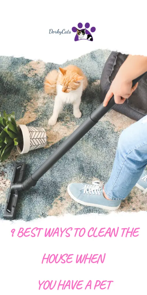 9 BEST WAYS TO CLEAN THE HOUSE WHEN YOU HAVE A PET