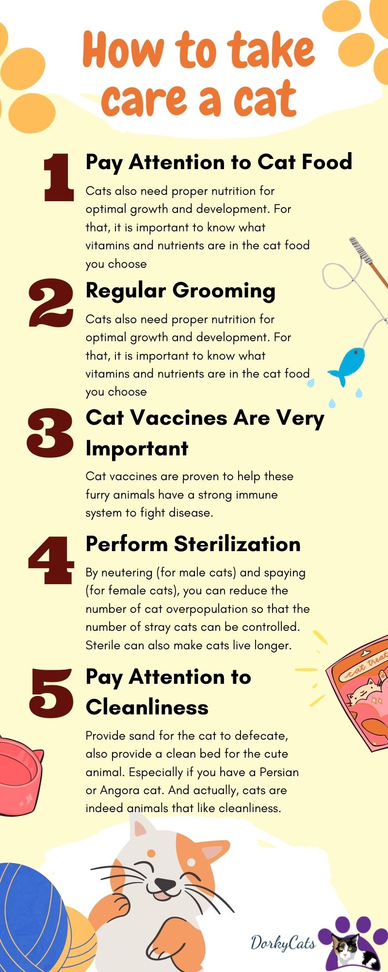 HOW MUCH EXERCISE DO INDOOR CATS NEED? 6 IDEAS DorkyCats