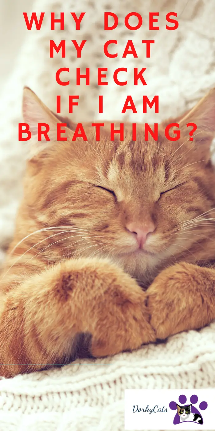 WHY DOES MY CAT CHECK IF I AM BREATHING? FRIGHTENING?
