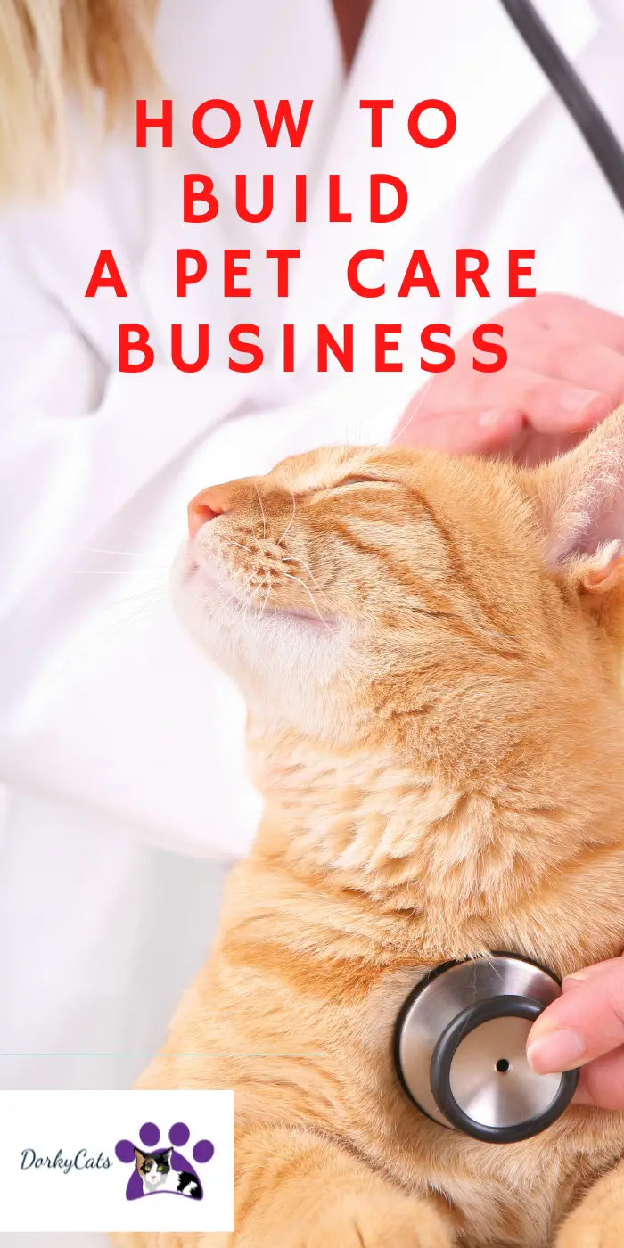 WHY BUILD A SUSTAINABLE PET CARE BUSINESS NOW? DorkyCats