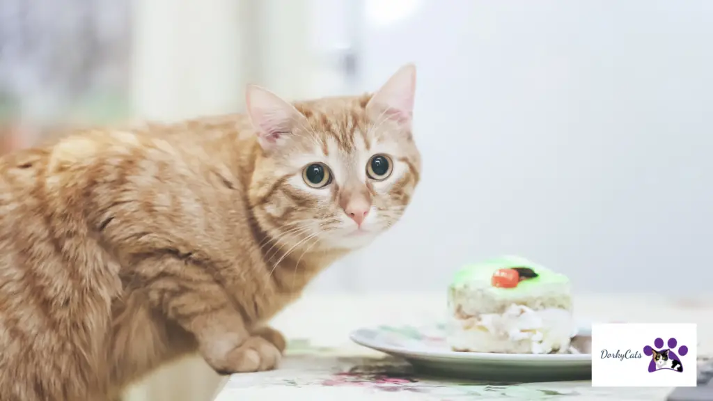 CAN CATS EAT CANTALOUPE? 4 REASONS THEY CAN AND CANNOT