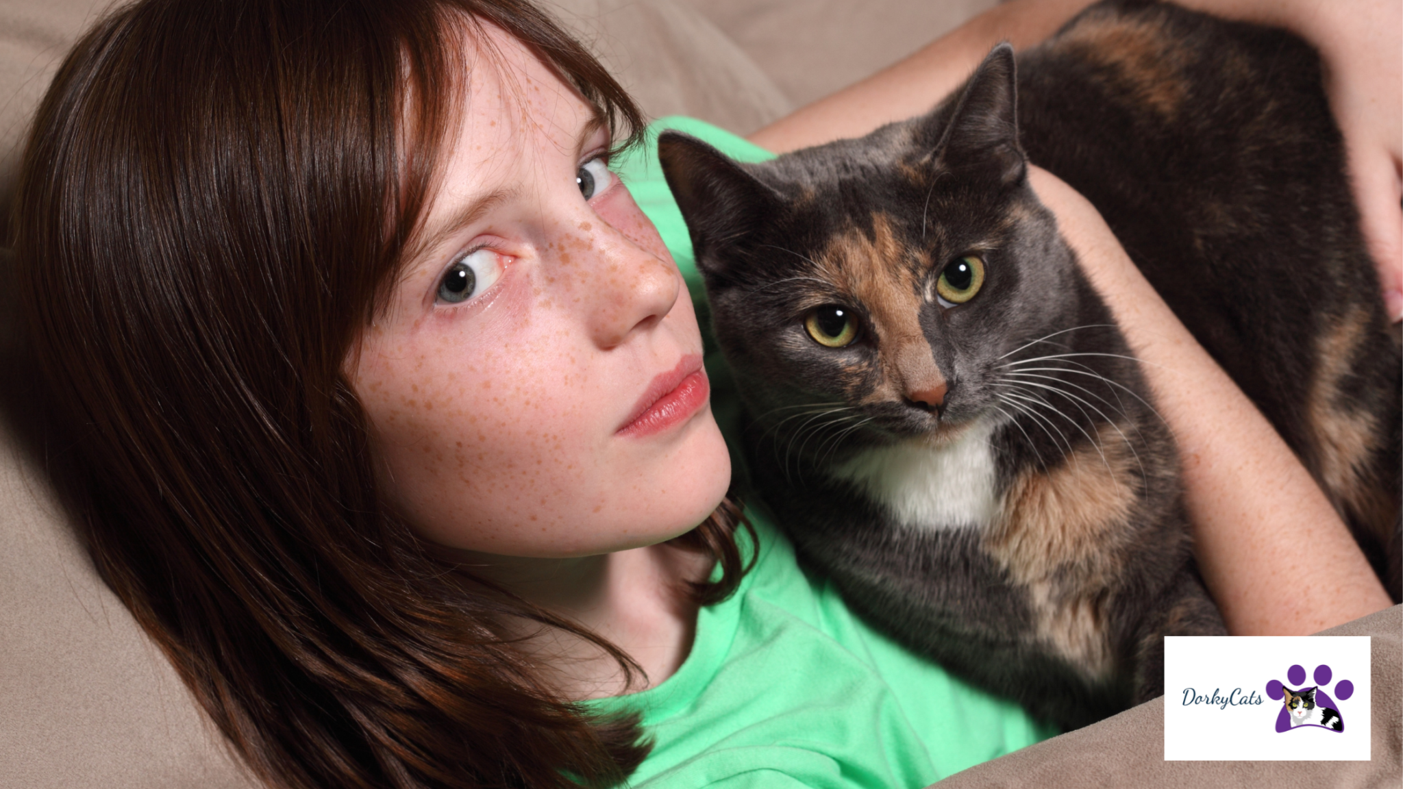 WHY IS MY CAT SO AFFECTIONATE AT NIGHT? 5+ REASONS DorkyCats