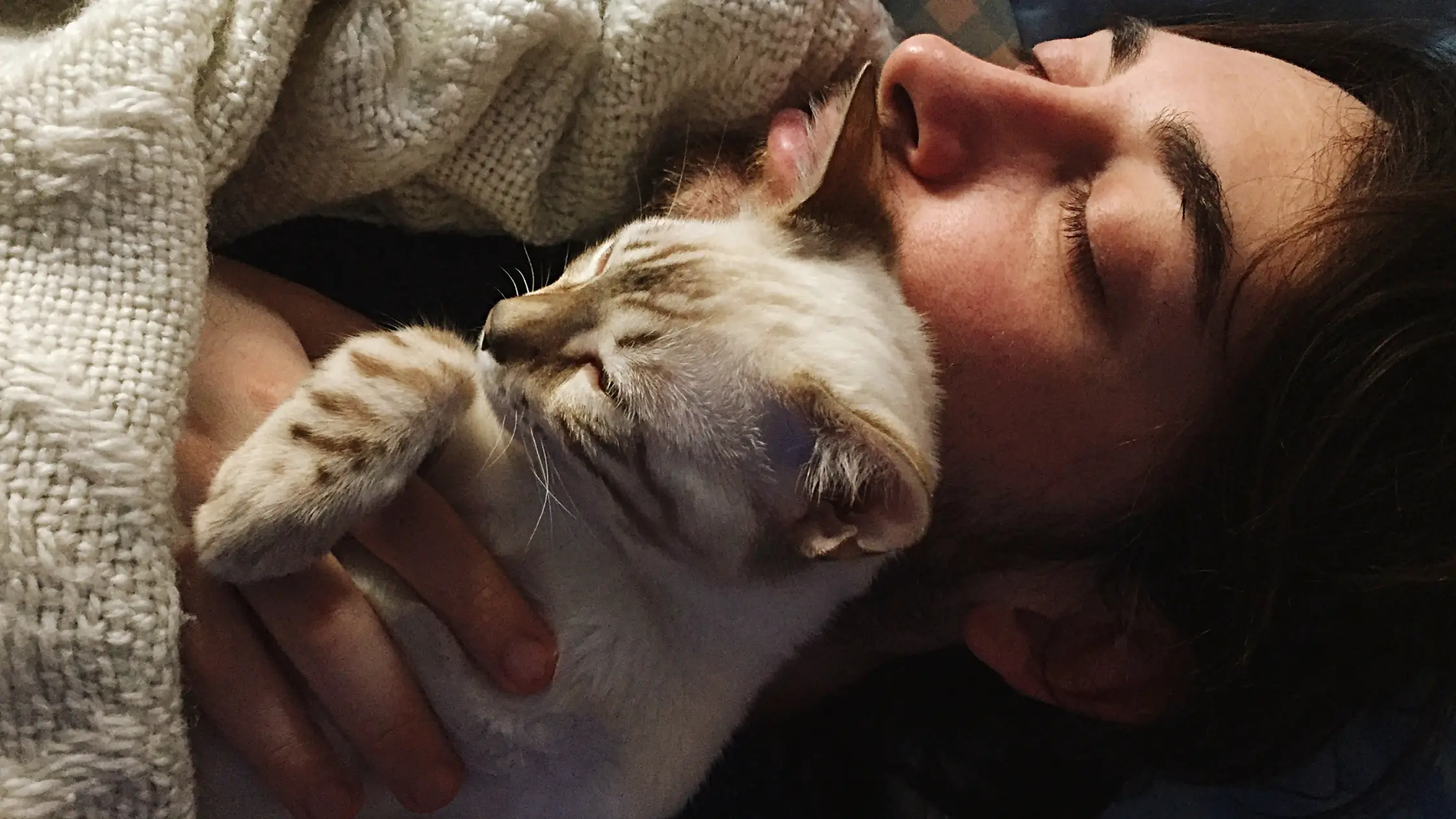 WHY MY CAT HOLDS MY HAND WHEN SLEEPING? 7+ REASONS