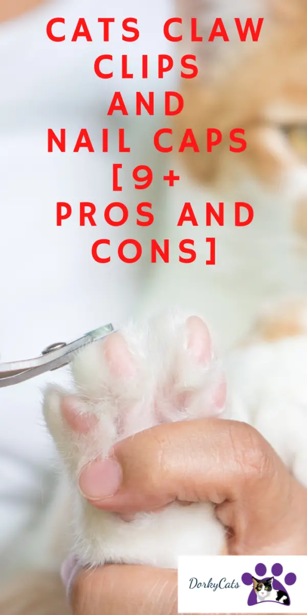 CATS CLAW CLIPS AND NAIL CAPS [9+ PROS AND CONS] DorkyCats
