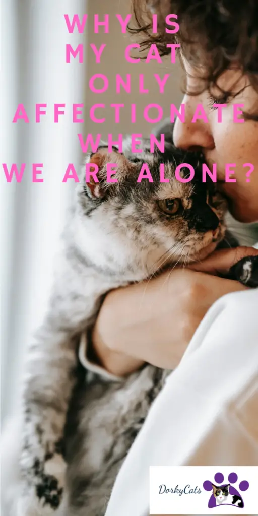 WHY IS MY CAT ONLY AFFECTIONATE WHEN WE ARE ALONE?