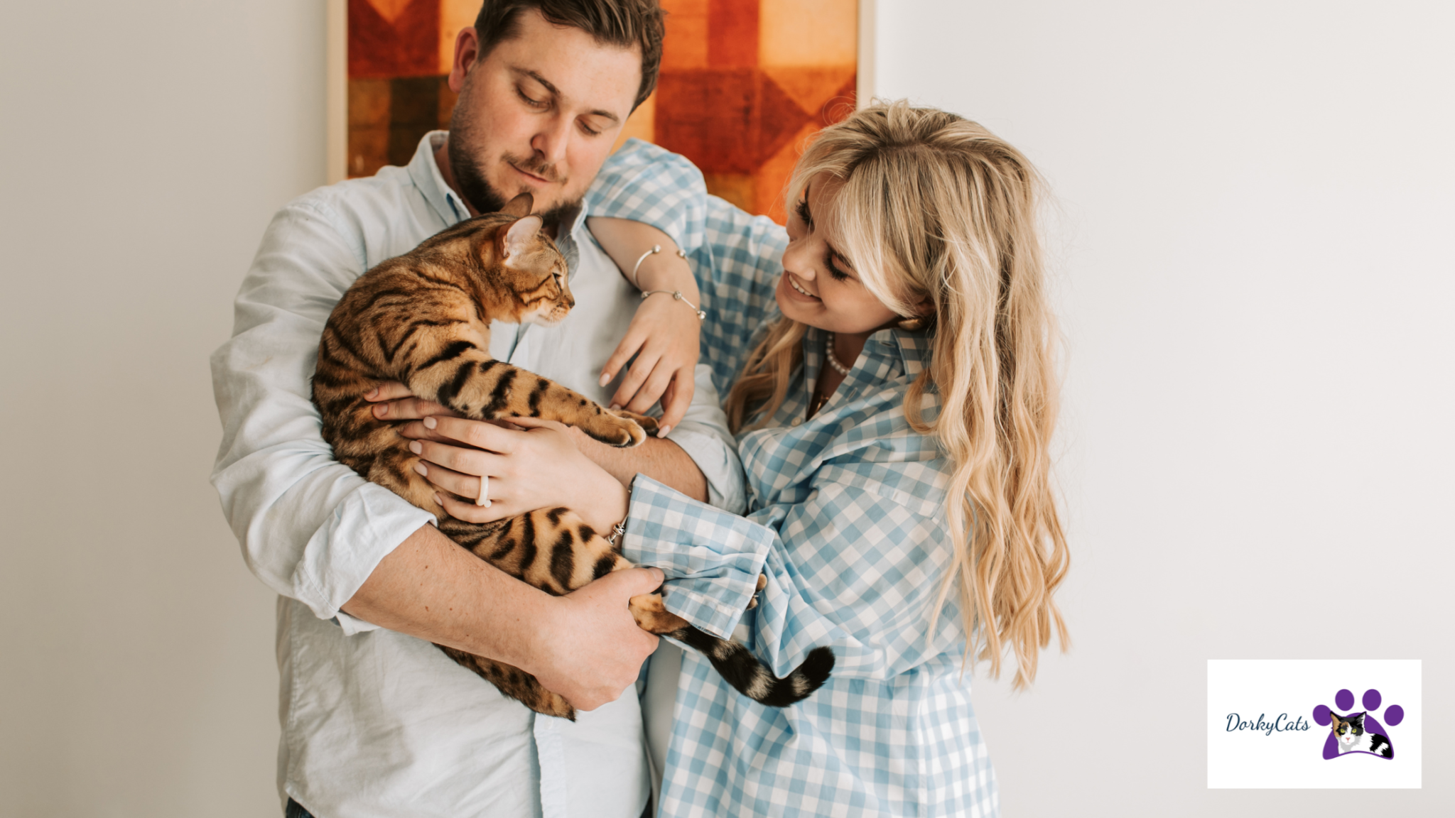 WHY DO CATS LIKE THE BASE OF THEIR TAIL SCRATCHED? 5+ REASONS