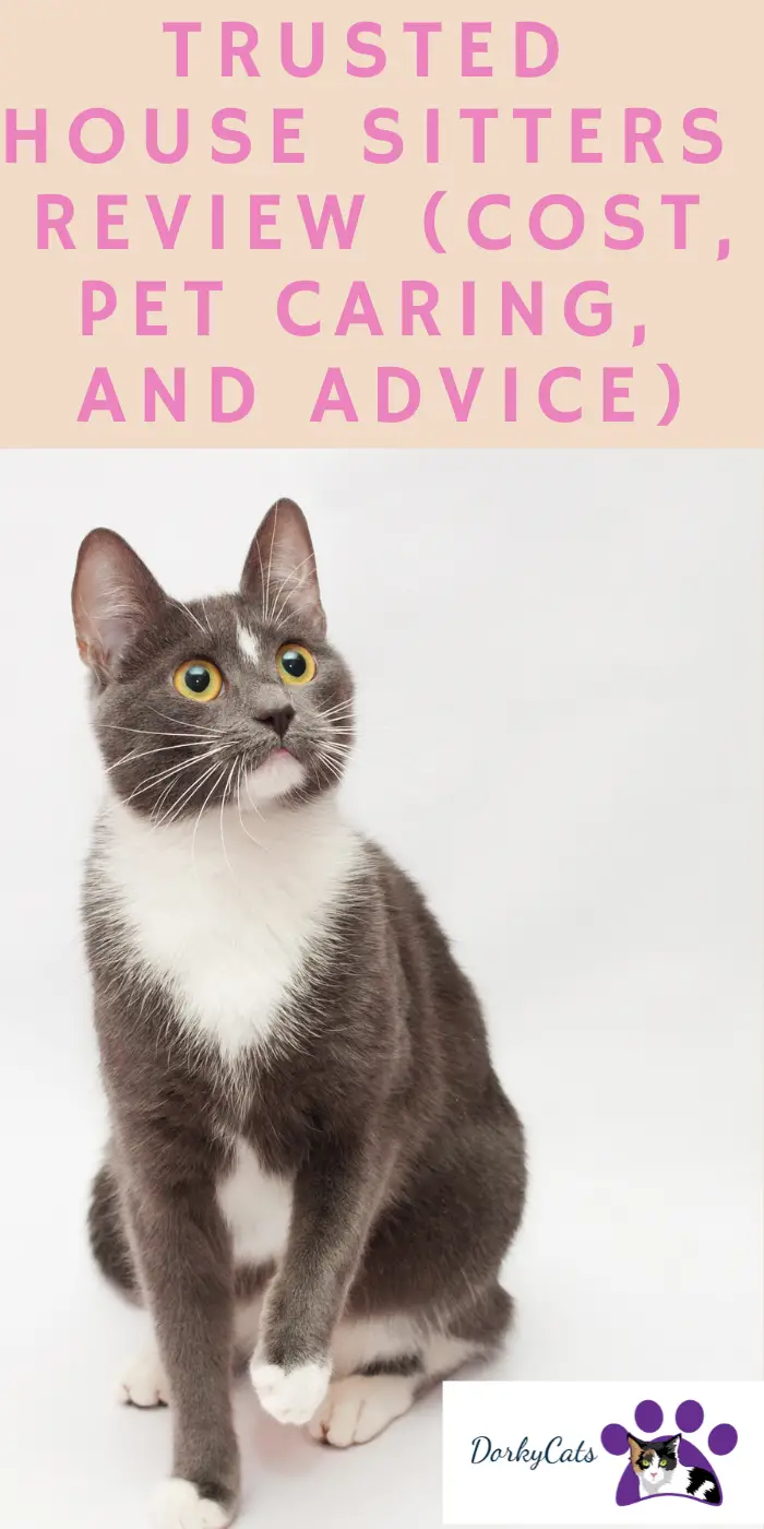 TRUSTED HOUSE SITTERS REVIEW (COST, PET CARING, AND ADVICE) DorkyCats