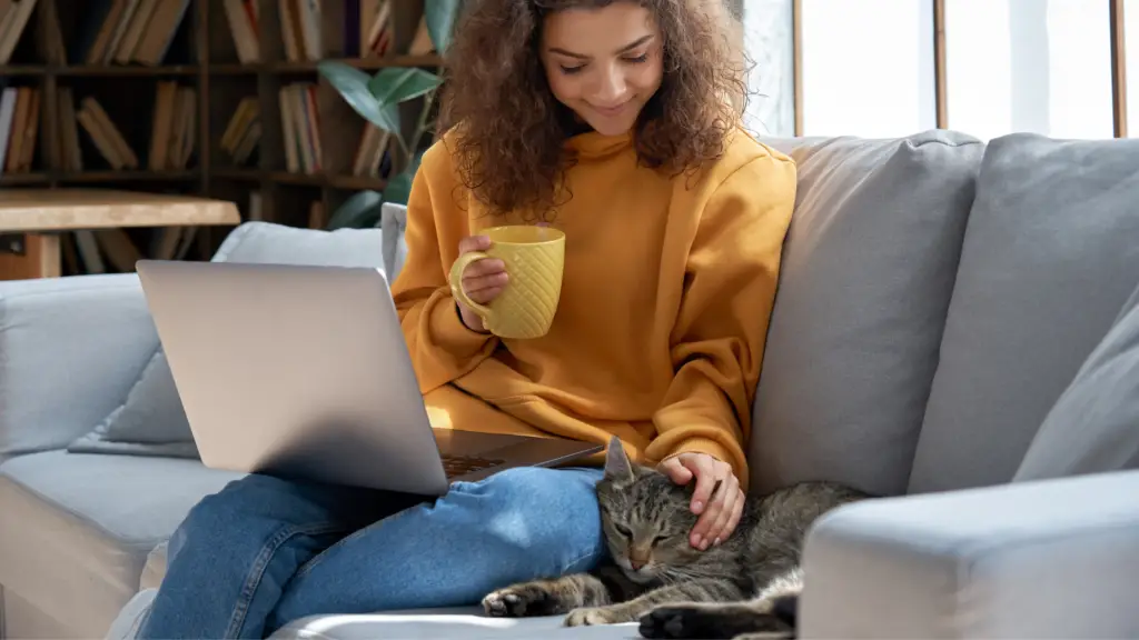 TRUSTED HOUSE SITTERS REVIEW (COST, PET CARING, AND ADVICE) DorkyCats